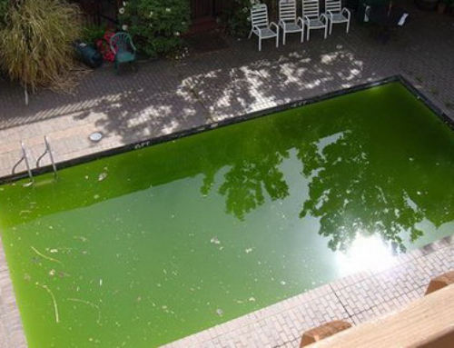 Agua verde en la piscina