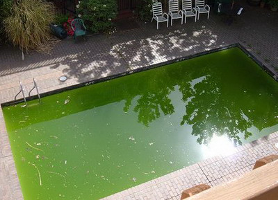 Agua verde en la piscina - CODE
